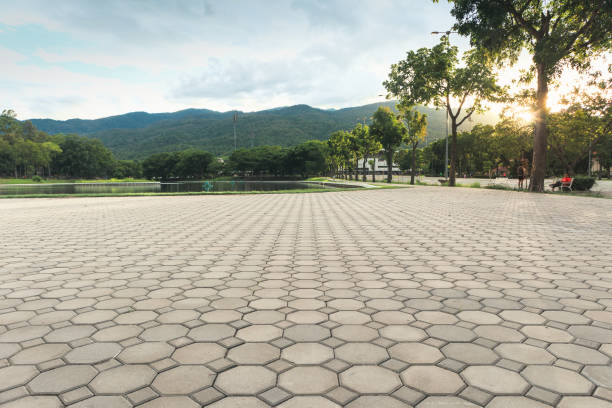 Best Driveway Drainage Solutions in Monee, IL