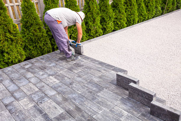Best Driveway Stamping and Staining in Monee, IL